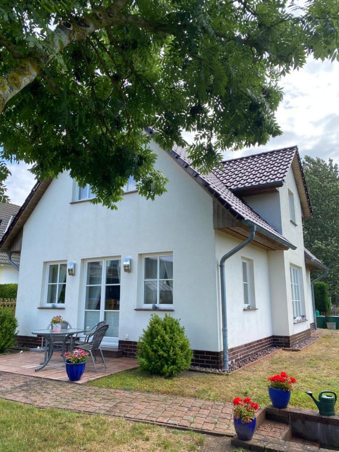 Bluetentraum In Auf Ruegen Binz